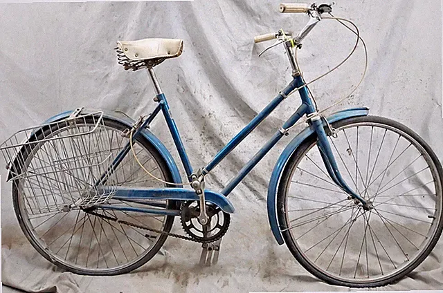 1955 Raleigh Robin Hood Cruiser Bike 50cm Small 3S Internal Hub Steel Brooks VTG