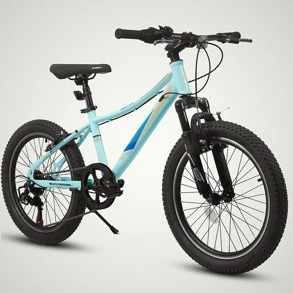 20 inch Children's Bicycle, 7- Speed V - brakes Kids Bike for Outdoor Adventure