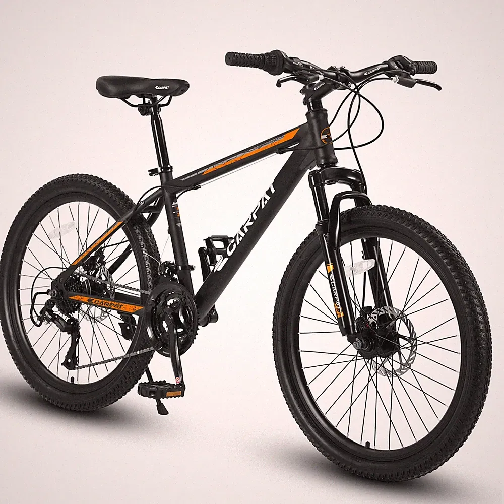 Iron Commuter Bike