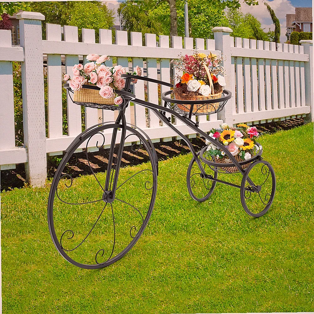Iron Tricycle