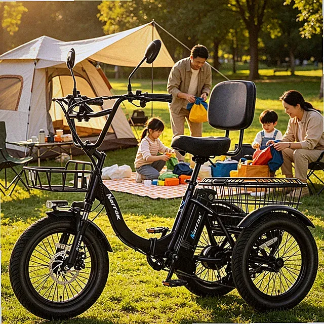 Narrak Fat Tire Folding Electric Trike For adult Peak 1100W electric bike N6
