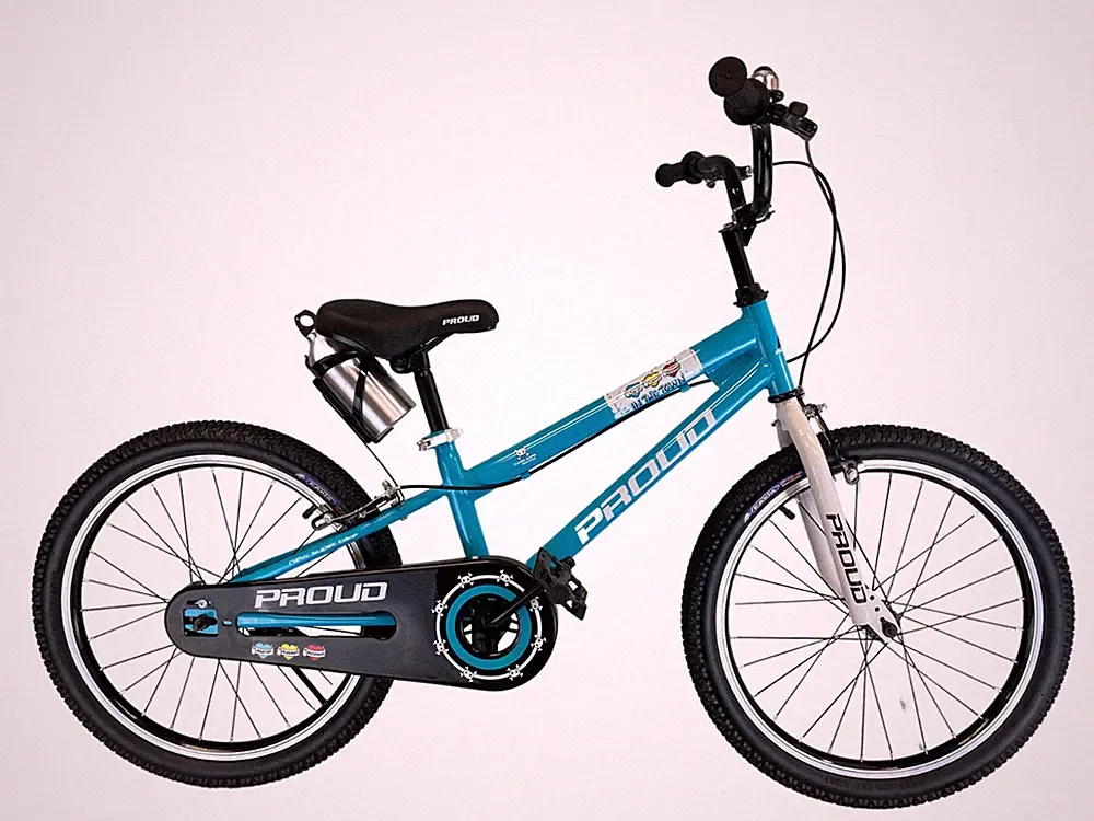 Iron Kids Bike