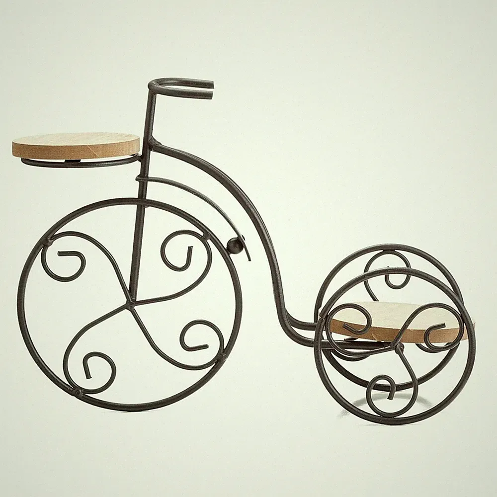 TJ Global 2-Plant Iron Bicycle Plant Stand, Metal Wire Flower Pot Wrought...