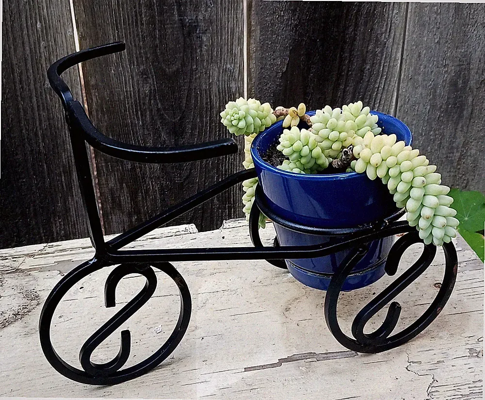 Vintage Wrought Iron Bicycle Plant Stand Plant Holder Black 11 Inches Long